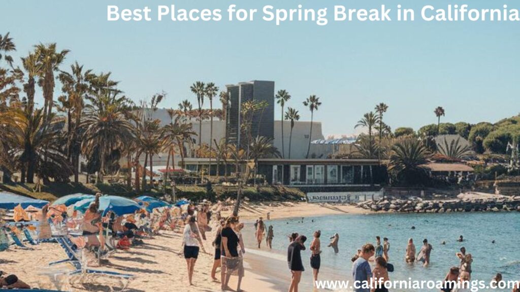  Best Places for Spring Break in California