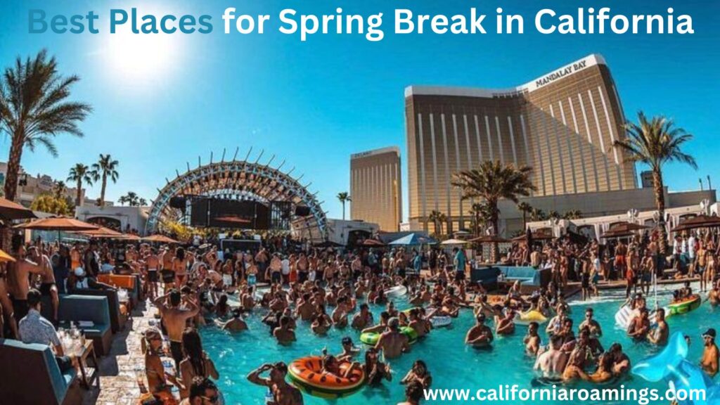 Best Places for Spring Break in California