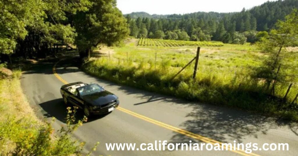 Scenic Drive Through Napa Valley